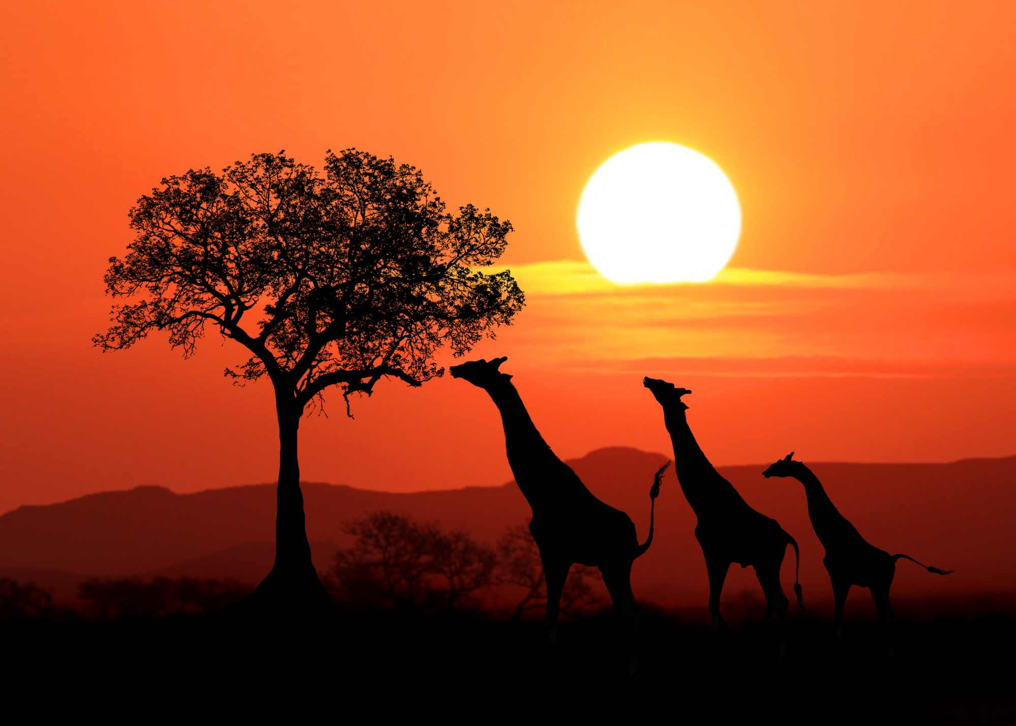 sudafrica