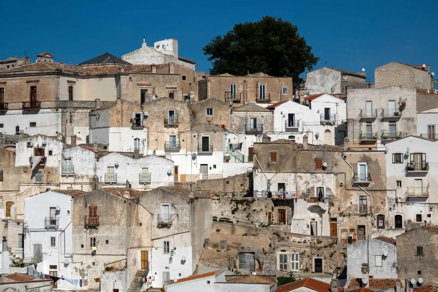 GARGANO-1