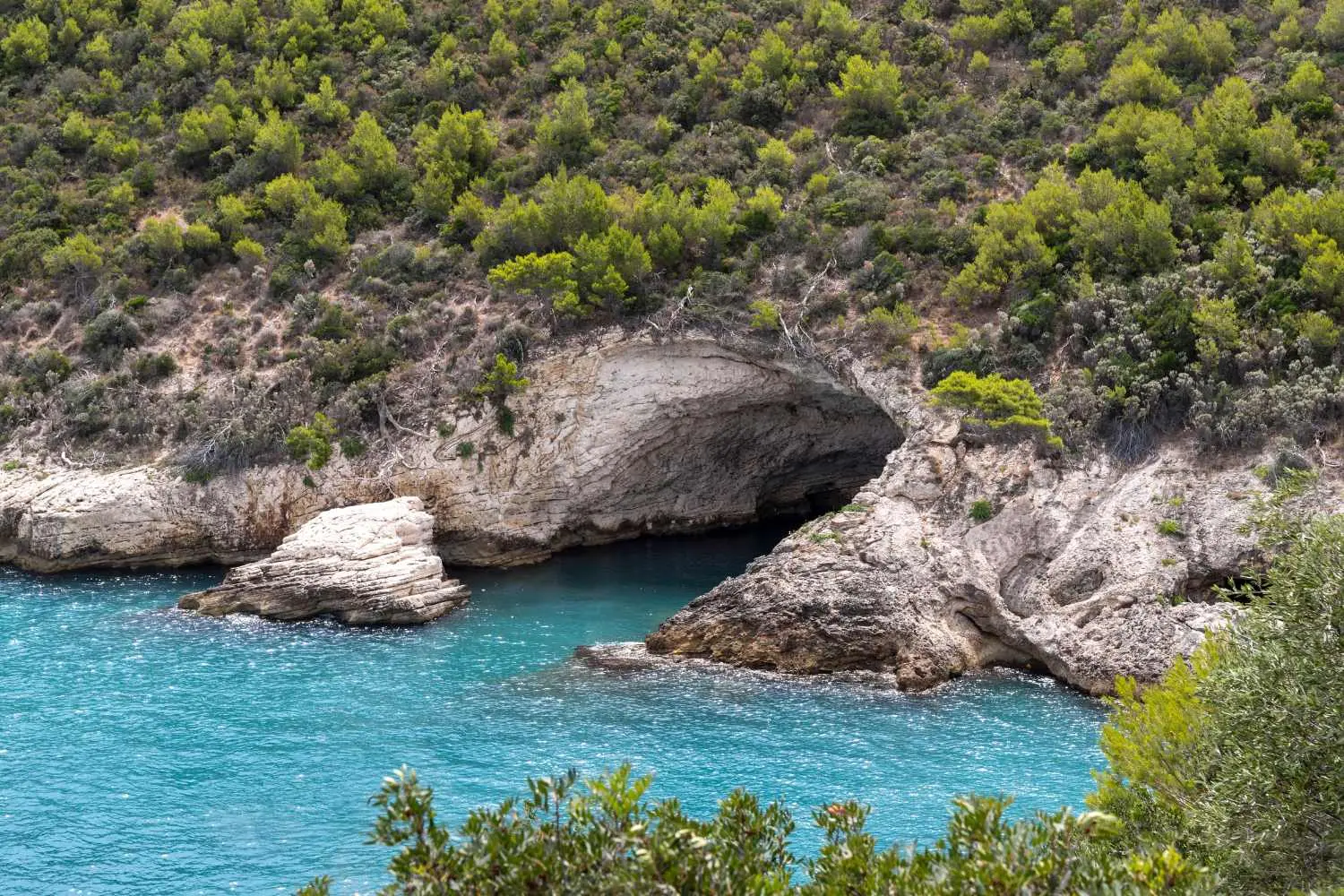 GARGANO-3