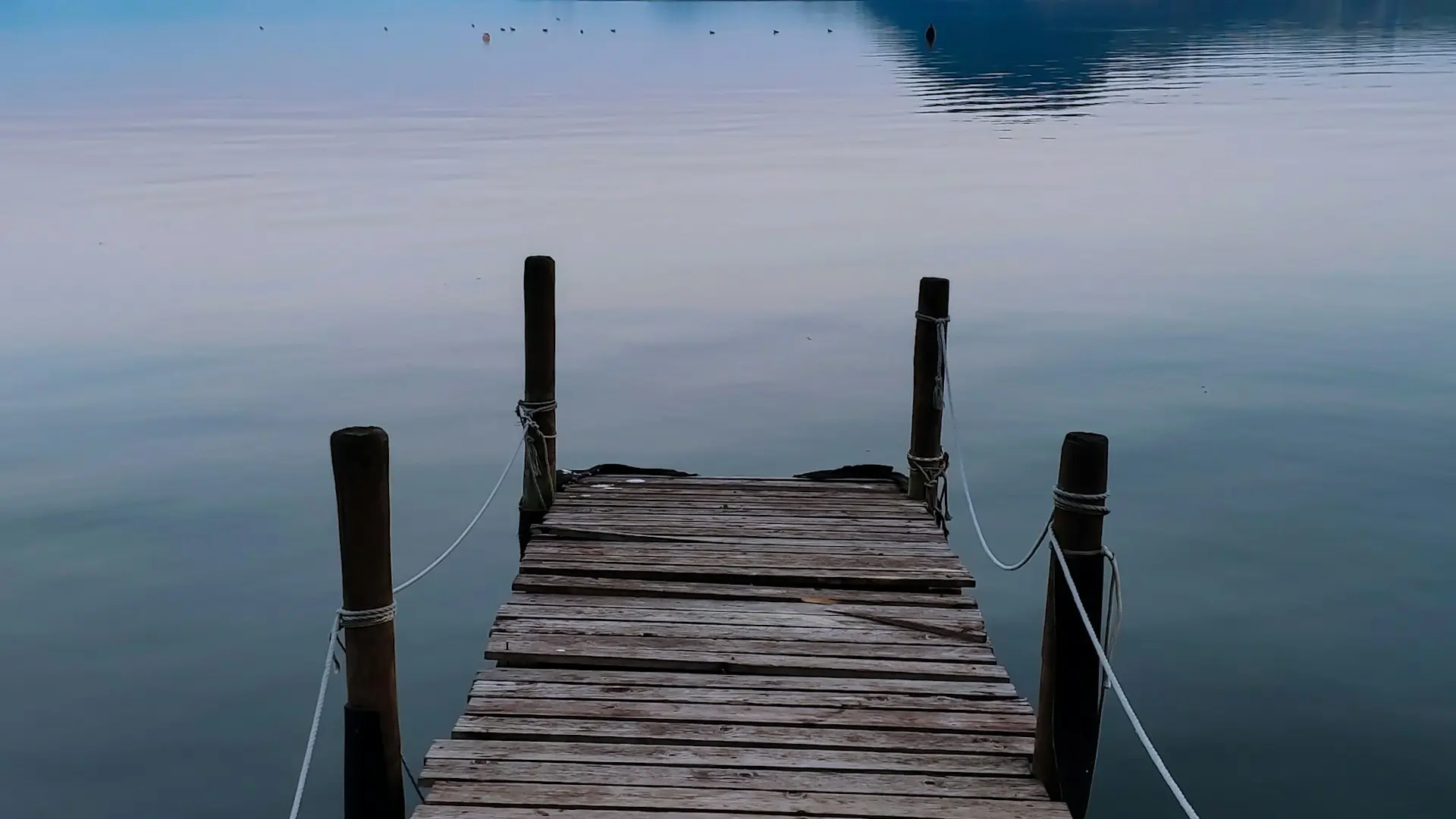 giordano-petraccaro-2RJlNBRhhLY-unsplash