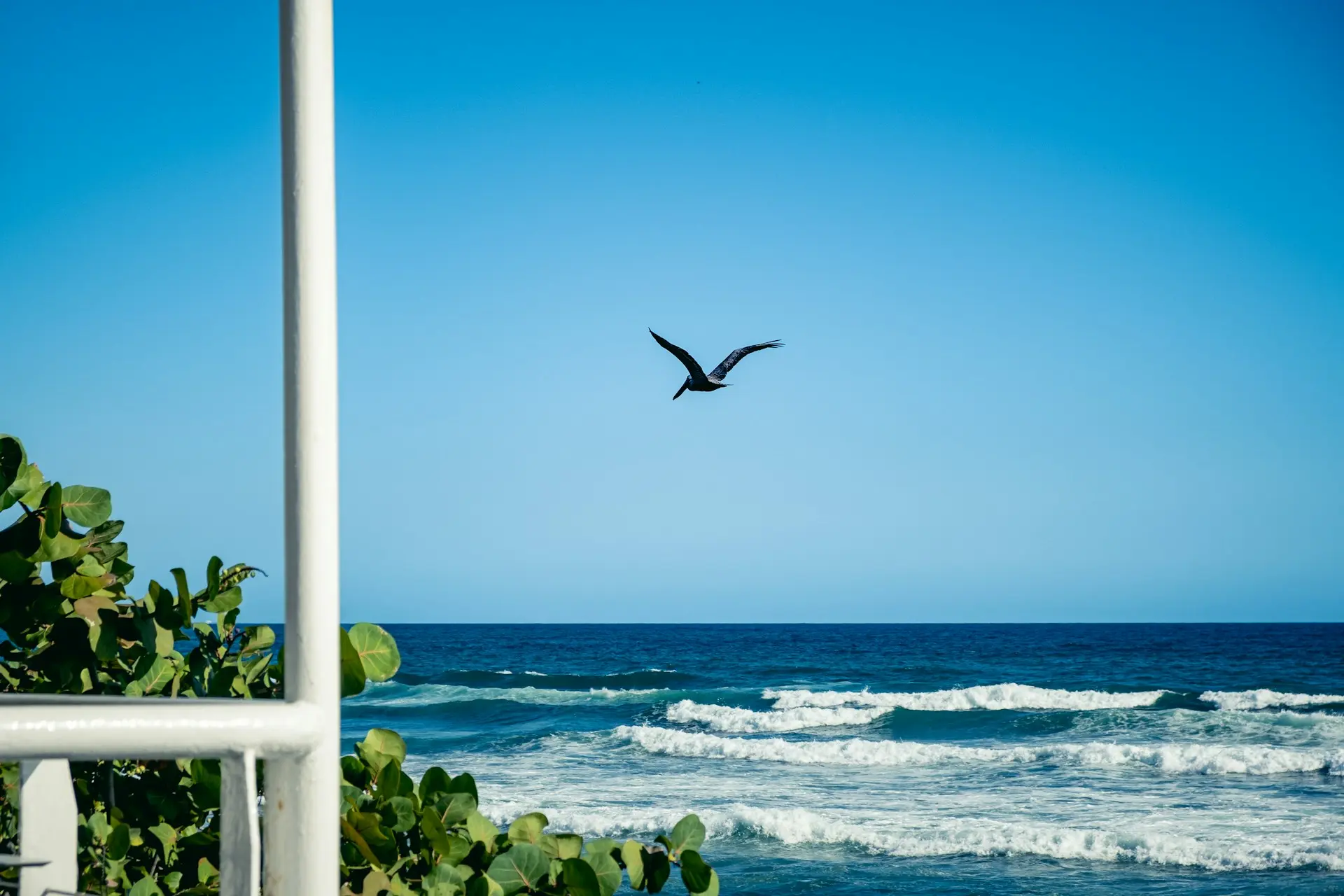 santo-domingo-by-alessandro-gober