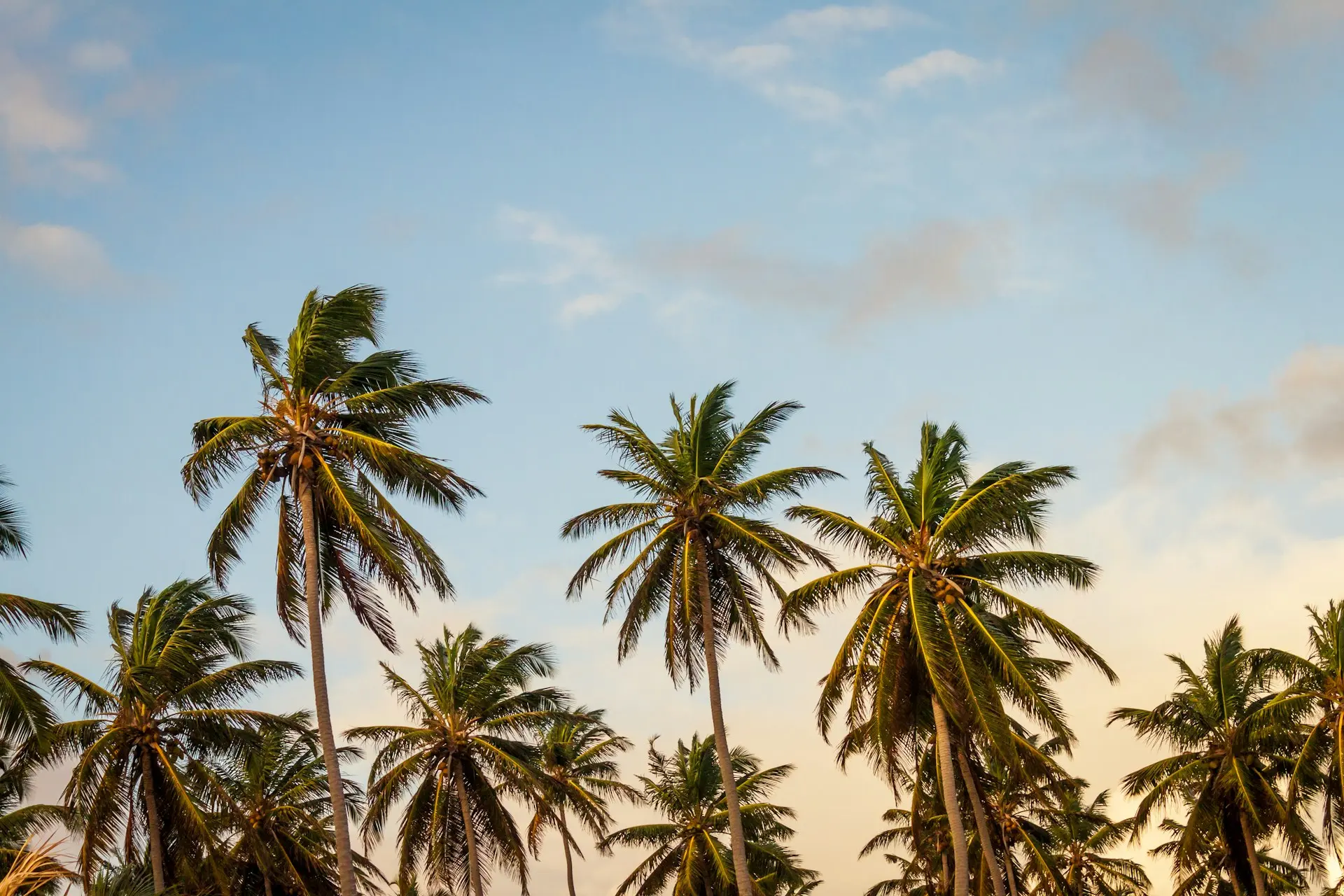 santo-domingo-by-thomas-lefebvre